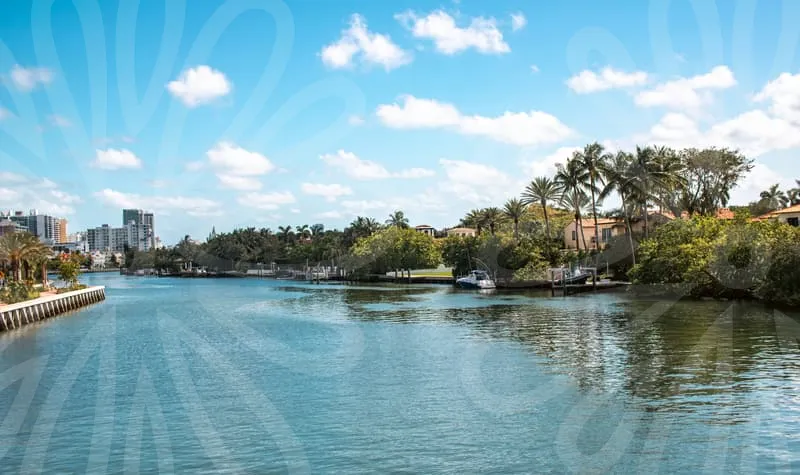 현대자동차주가