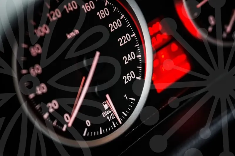 근처가볼만한곳