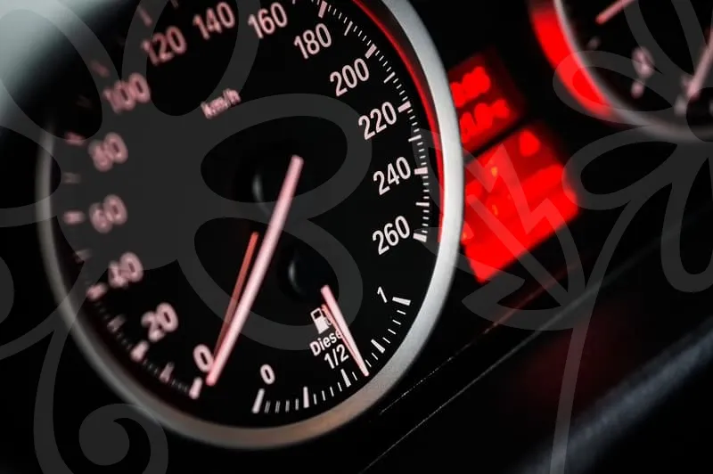 카니발하이브리드