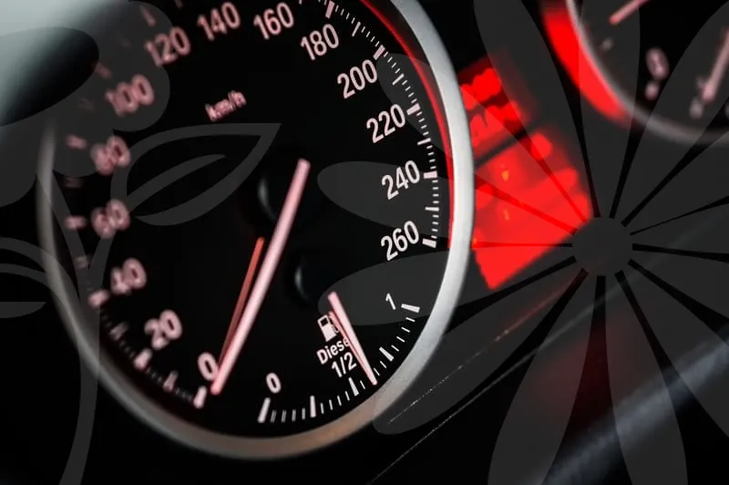 셀토스하이브리드