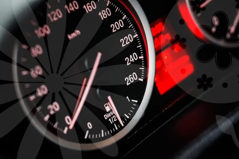 펠리세이드하이브리드