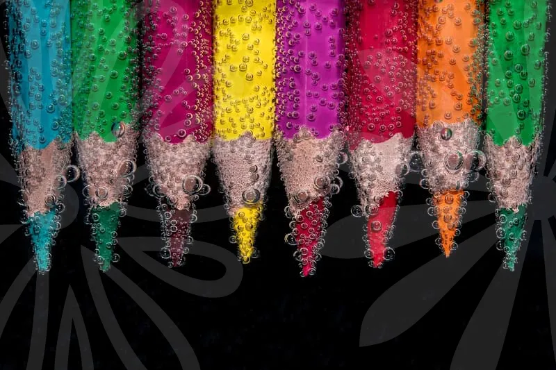 국민취업지원제도