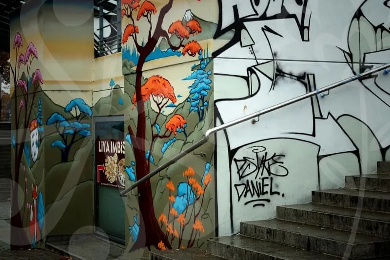 웹디자인기능사