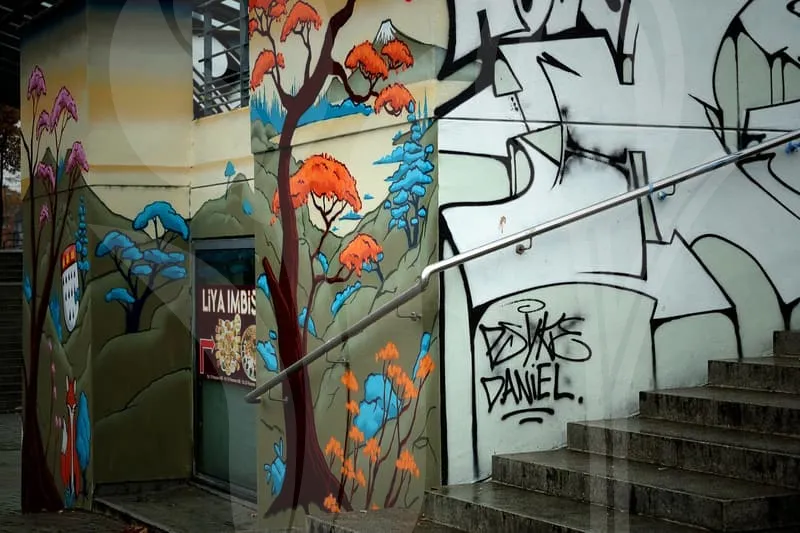 바디필로우인형