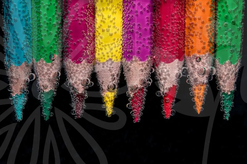 웹디자인기능사