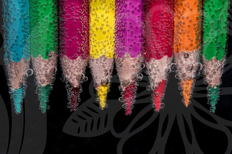 내일배움카드사용처