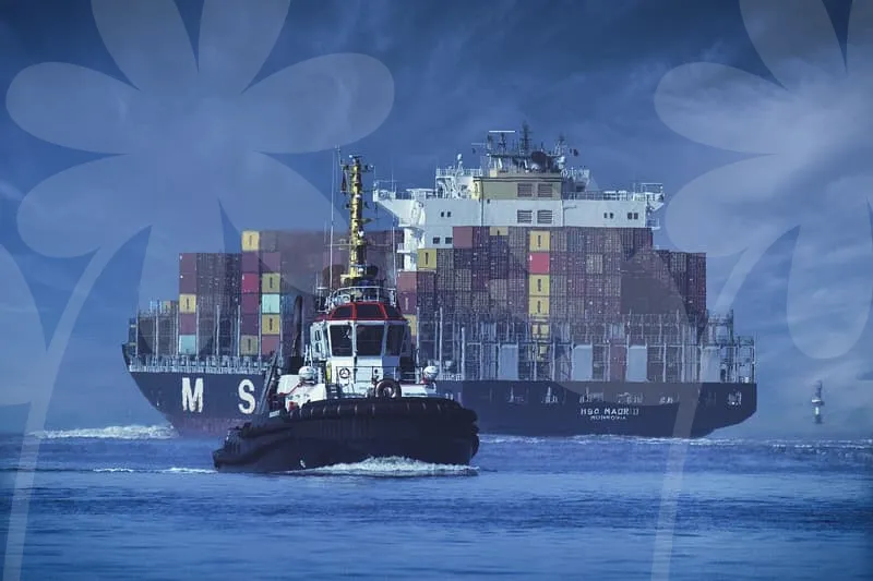 시흥식자재마트