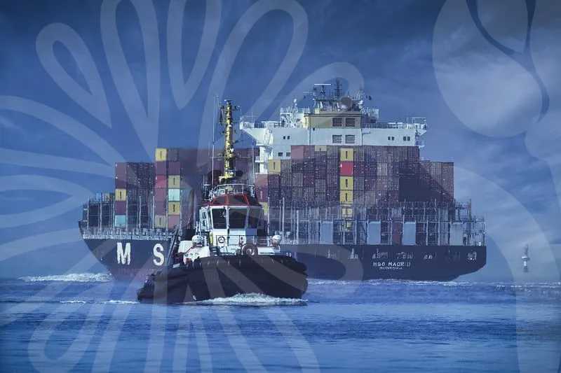 시흥식자재마트