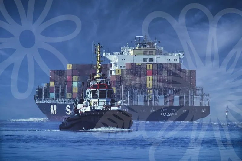 대구식자재마트