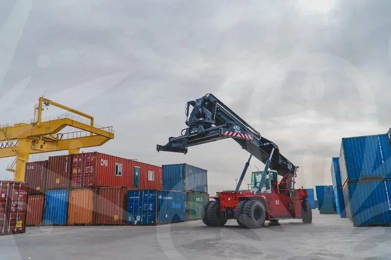 자몽허니블랙티