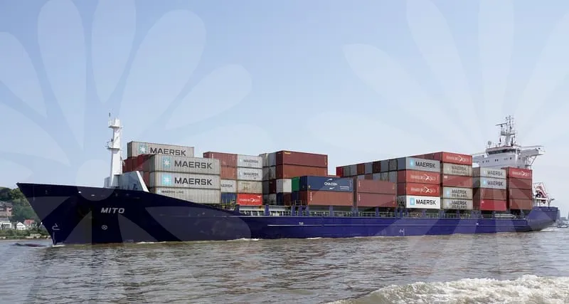 스타벅스선물세트