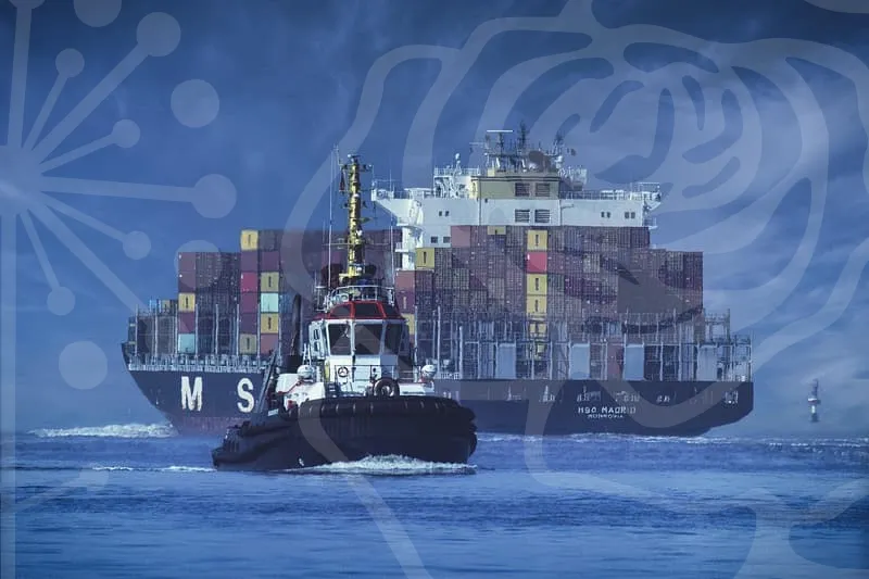 대구식자재마트