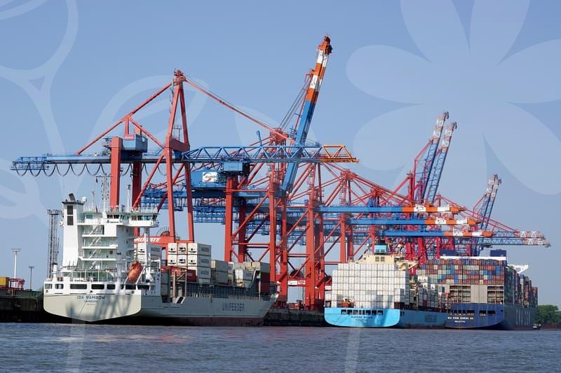 복잡한 배송대행, 이것만은 꼭 챙기세요